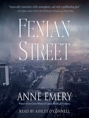 cover image of Fenian Street